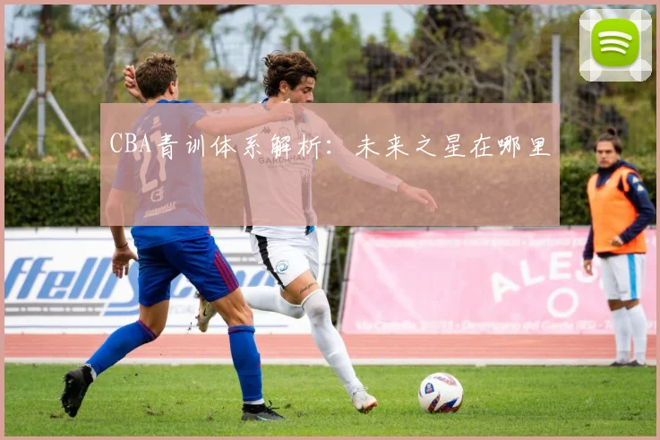 CBA青训体系解析:未来之星在哪里