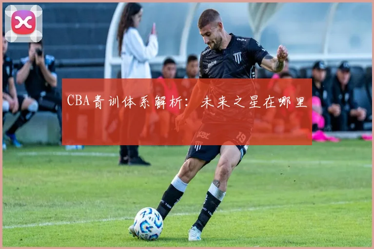CBA青训体系解析:未来之星在哪里