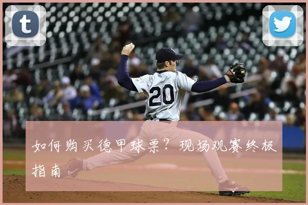 如何购买德甲球票？现场观赛终极指南